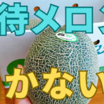 ベルグアース株主優待